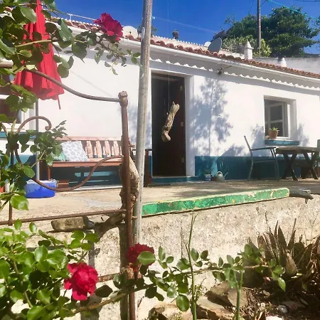 Casa de Férias Casa Anneli - Relaxing Under The Olive Tree