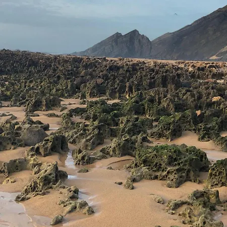 Casa Anneli - Relaxing Under The Olive Tree 度假居 阿尔热祖尔