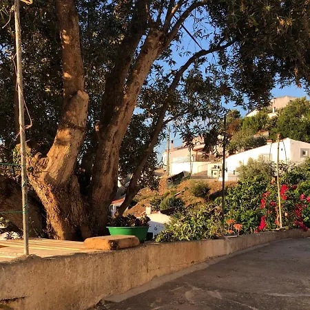 Casa Anneli - Relaxing Under The Olive Tree 阿尔热祖尔