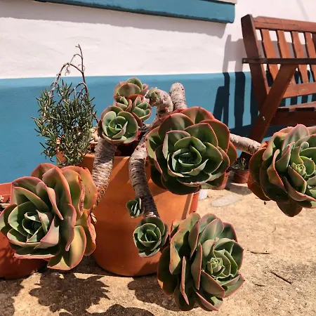 Casa Anneli - Relaxing Under The Olive Tree 알제주르