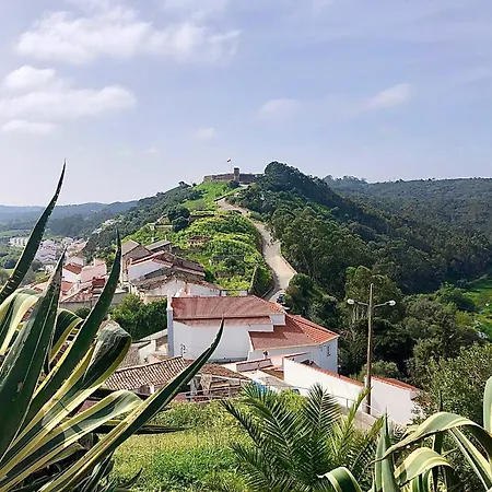 Casa Anneli - Relaxing Under The Olive Tree 度假居