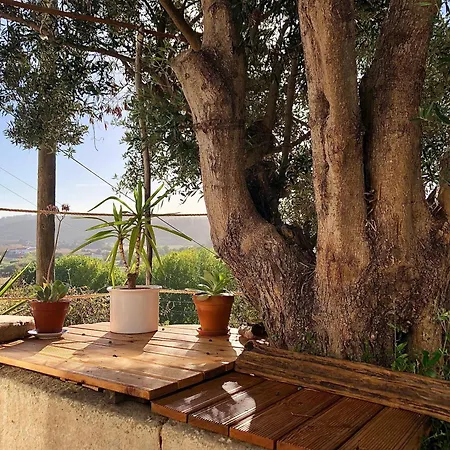 Casa Anneli - Relaxing Under The Olive Tree 度假居 阿尔热祖尔