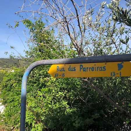 Casa Anneli - Relaxing Under The Olive Tree בית נופש *