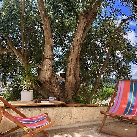 Casa Anneli - Relaxing Under The Olive Tree * アルジェズール